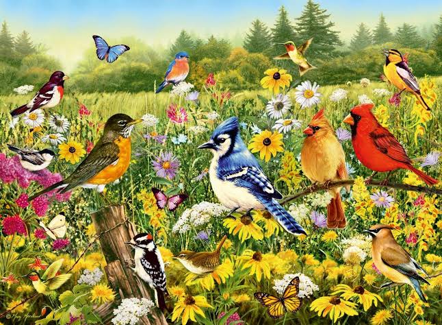 PUZZLE 500PC BIRDS IN THE MEADOW