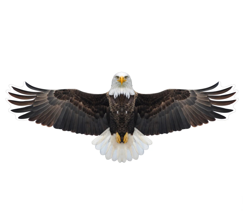 BROOKITE BALD EAGLE FUN KITE