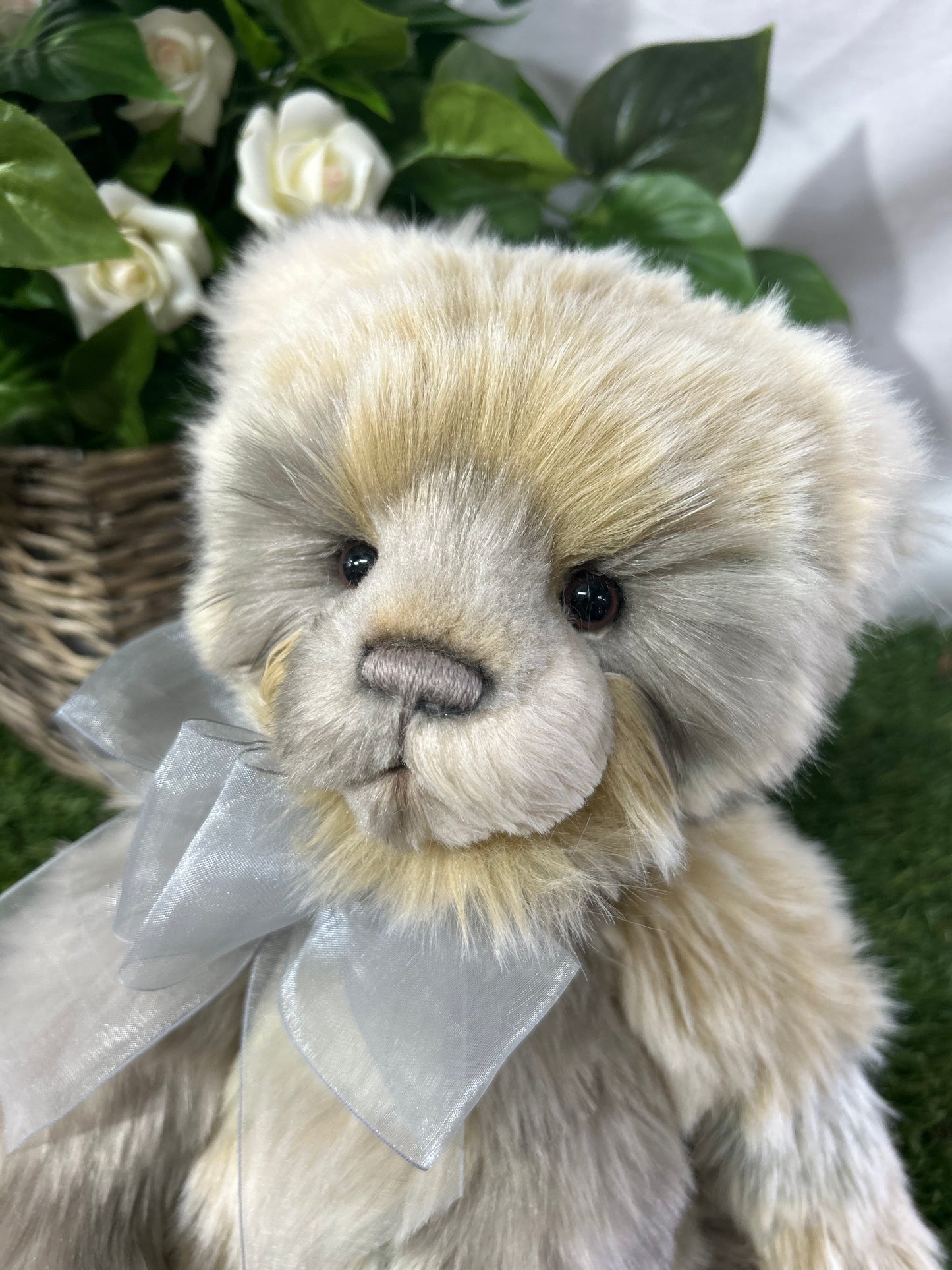 CHARLIE BEAR EDYTA