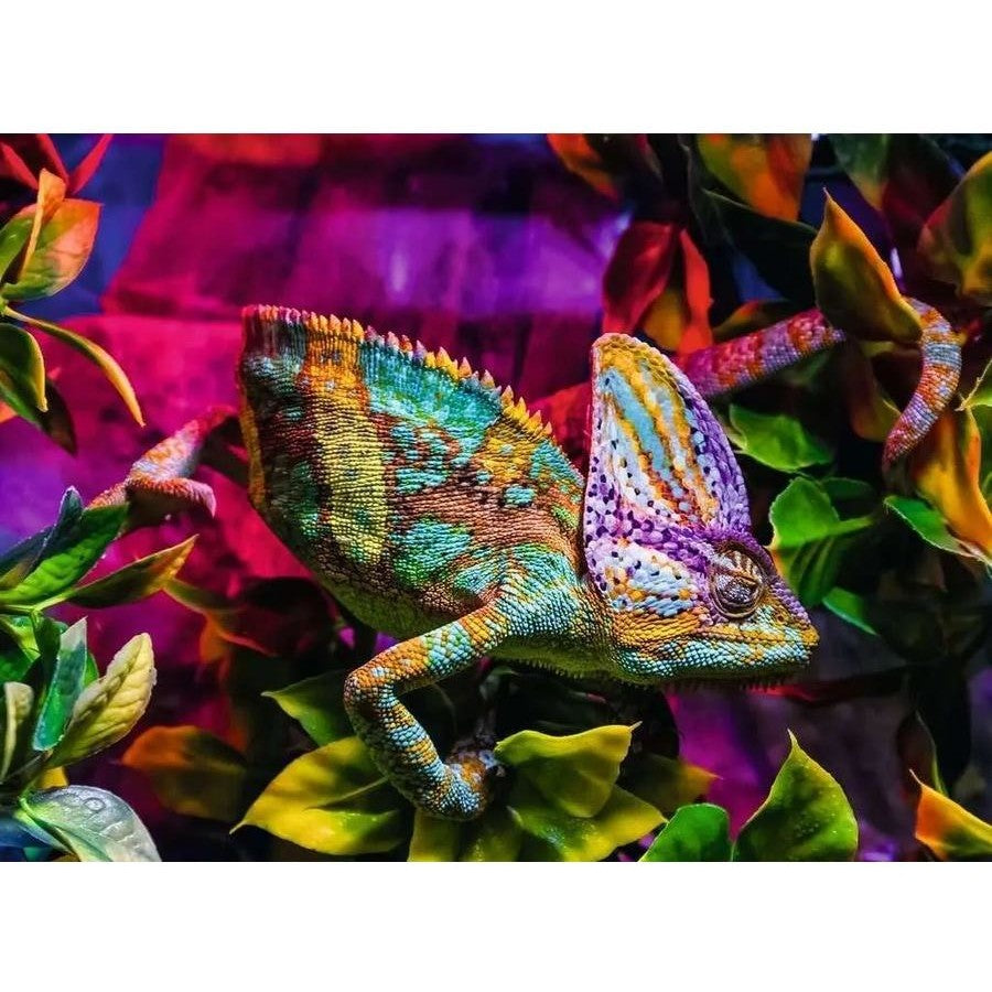 PUZZLE 500PC CHAMELEON