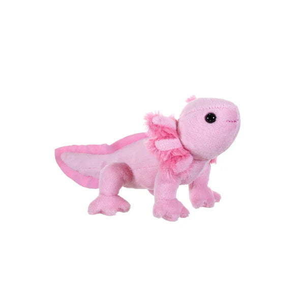 WILD POCKETKINS AXOLOTL
