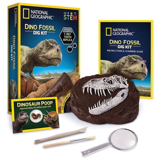 NG DINOSAUR DIG KIT