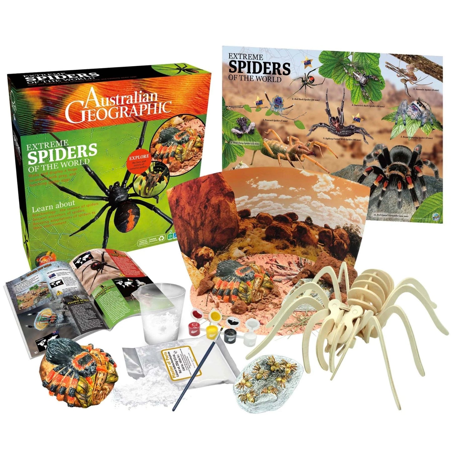 AUS GEO SPIDERS