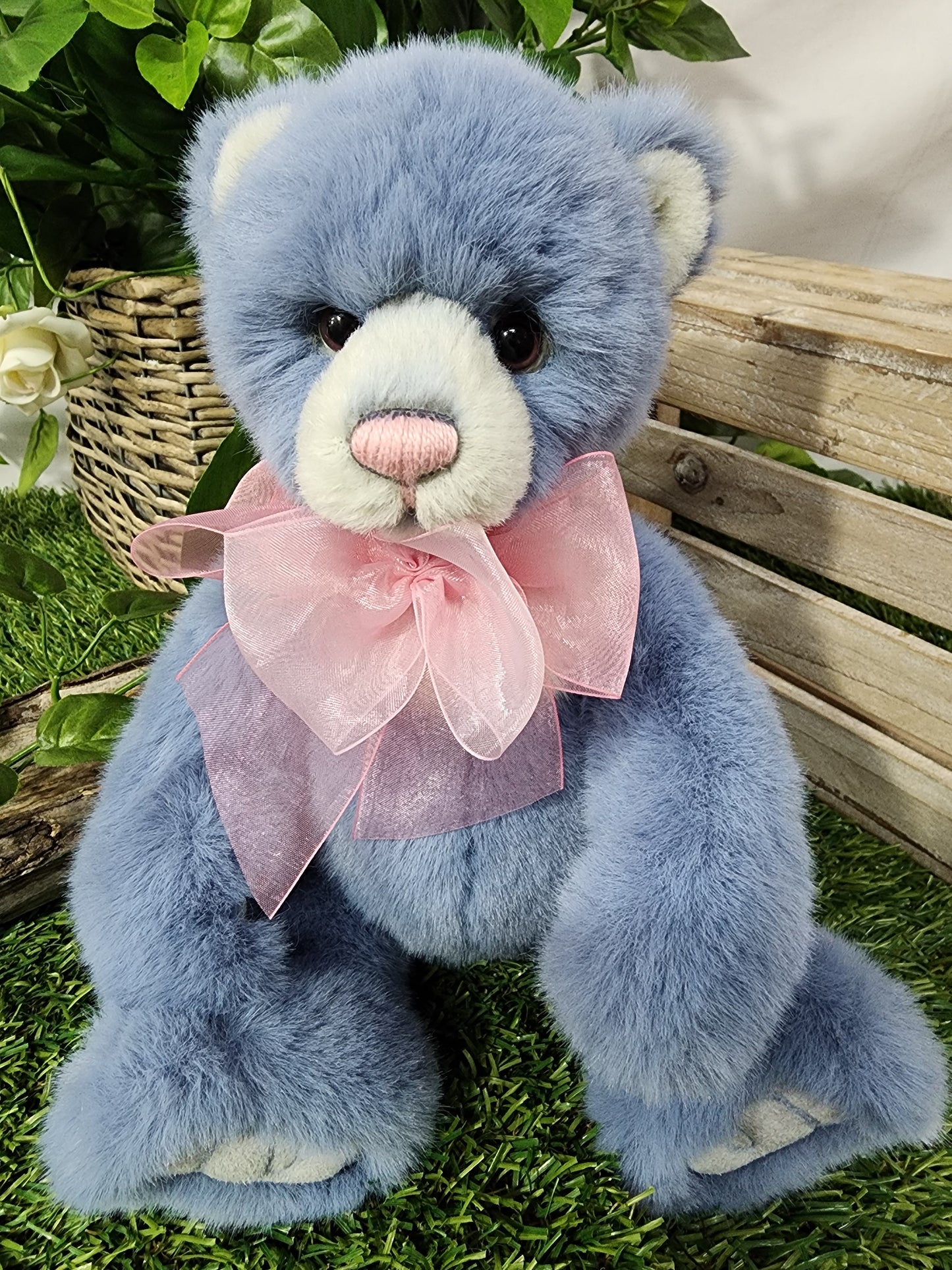 CHARLIE BEAR WHIST