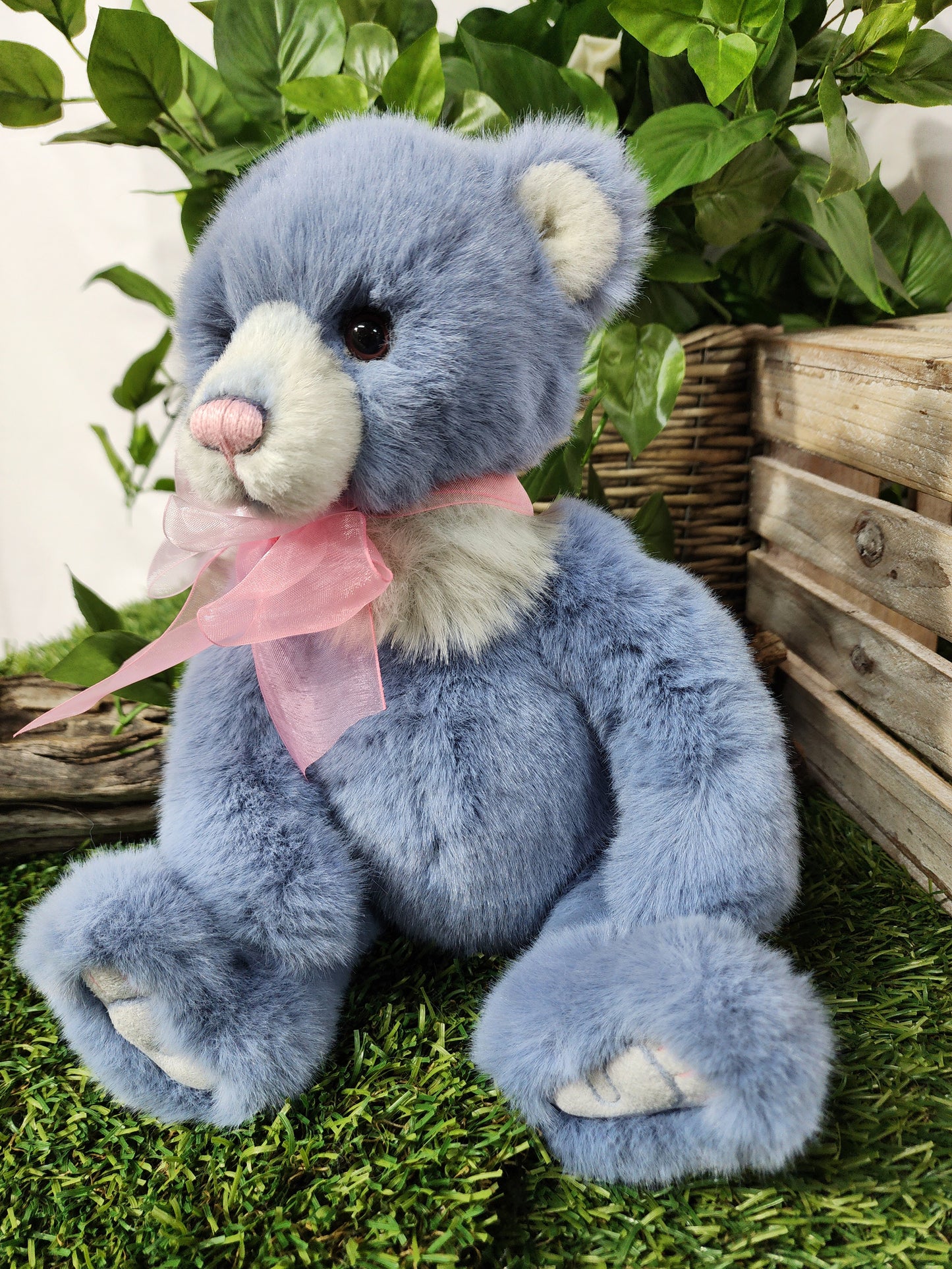 CHARLIE BEAR WHIST