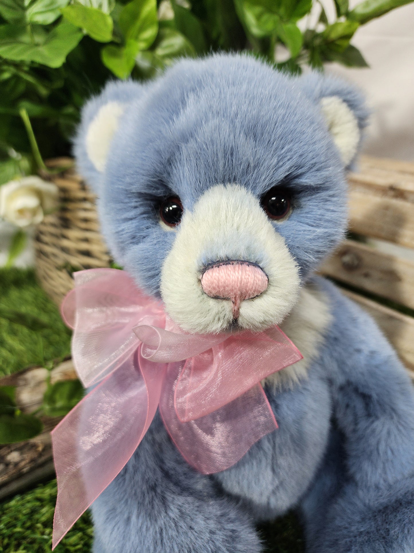 CHARLIE BEAR WHIST