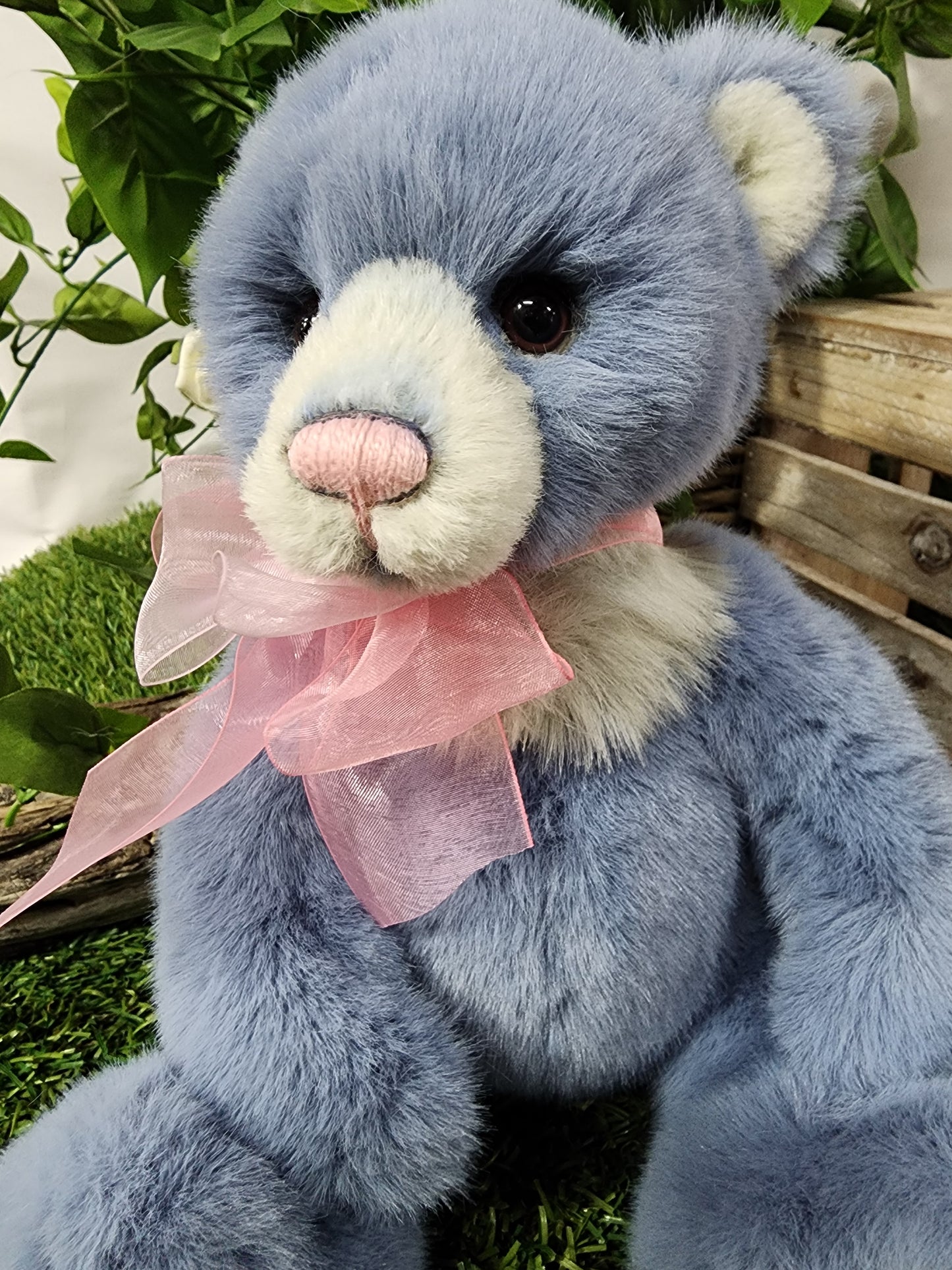 CHARLIE BEAR WHIST