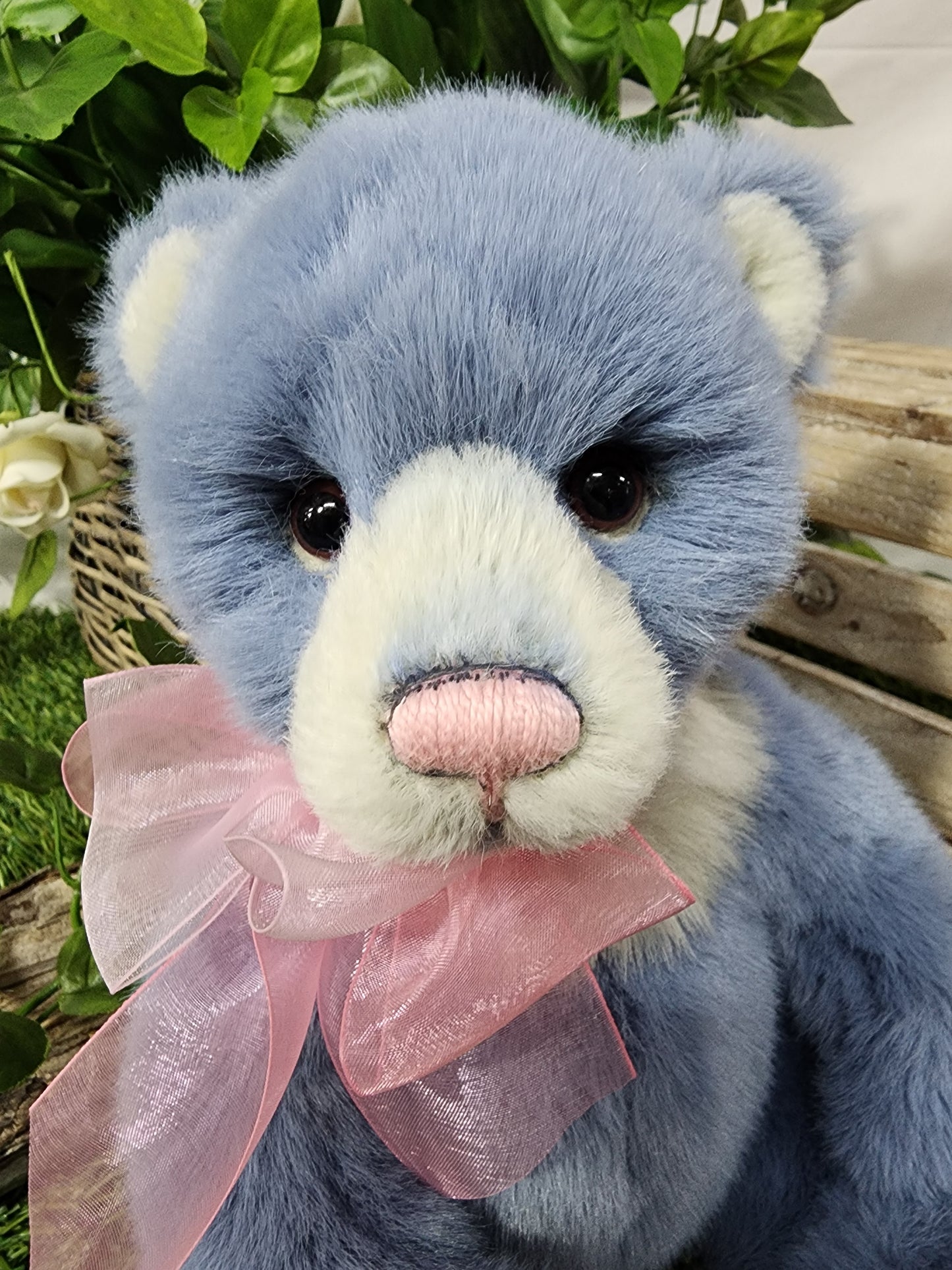 CHARLIE BEAR WHIST