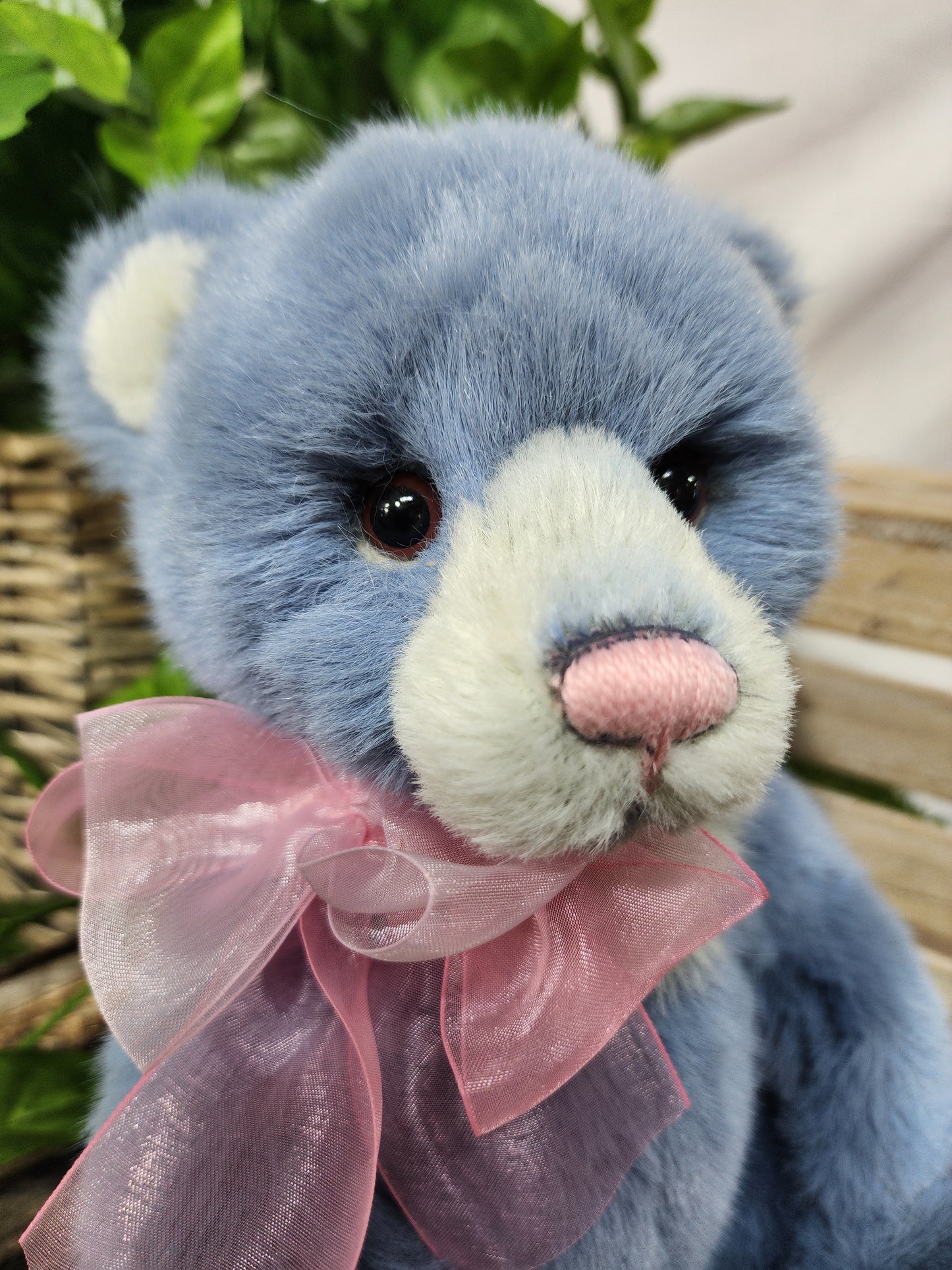 CHARLIE BEAR WHIST
