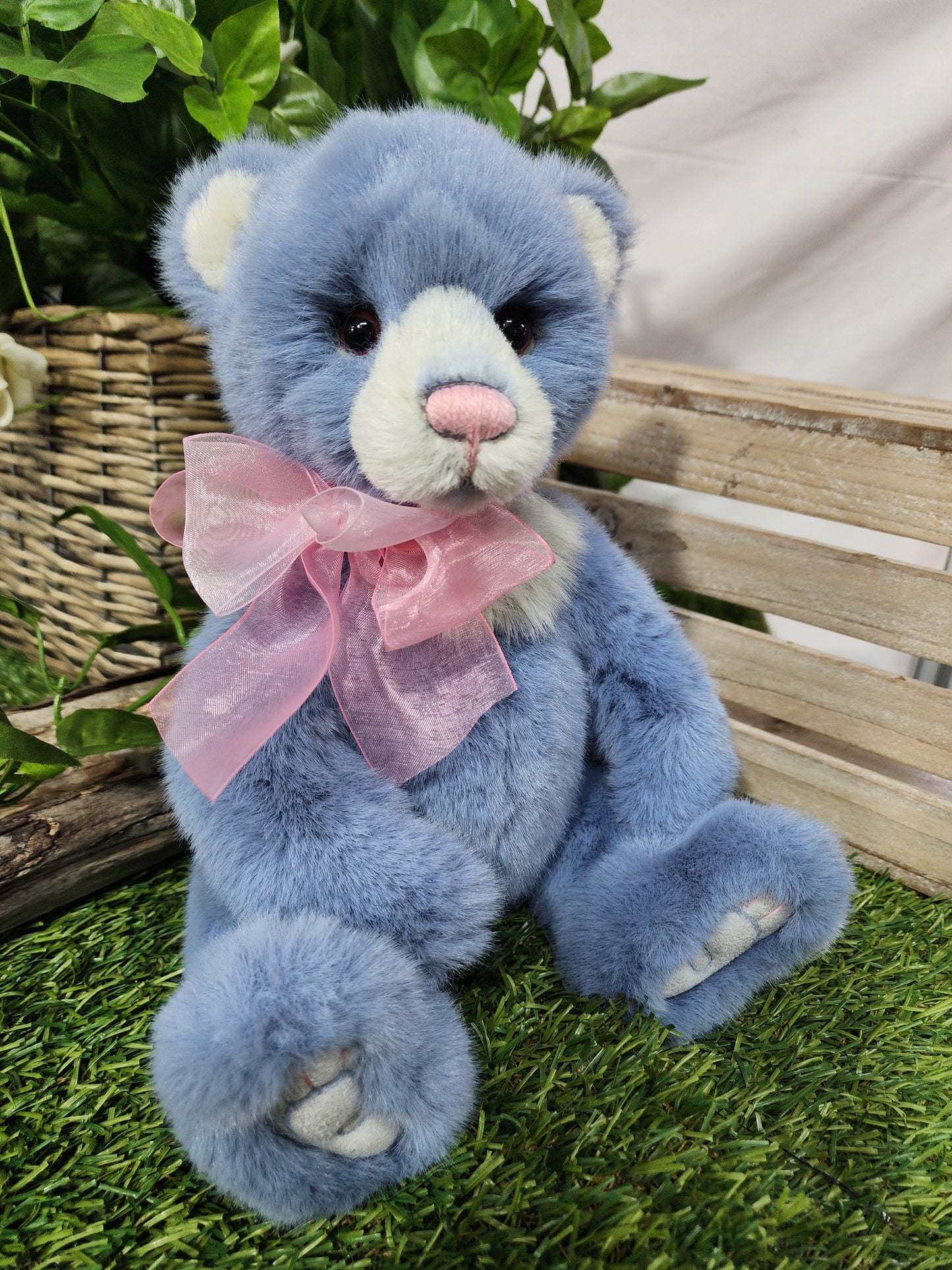 CHARLIE BEAR WHIST