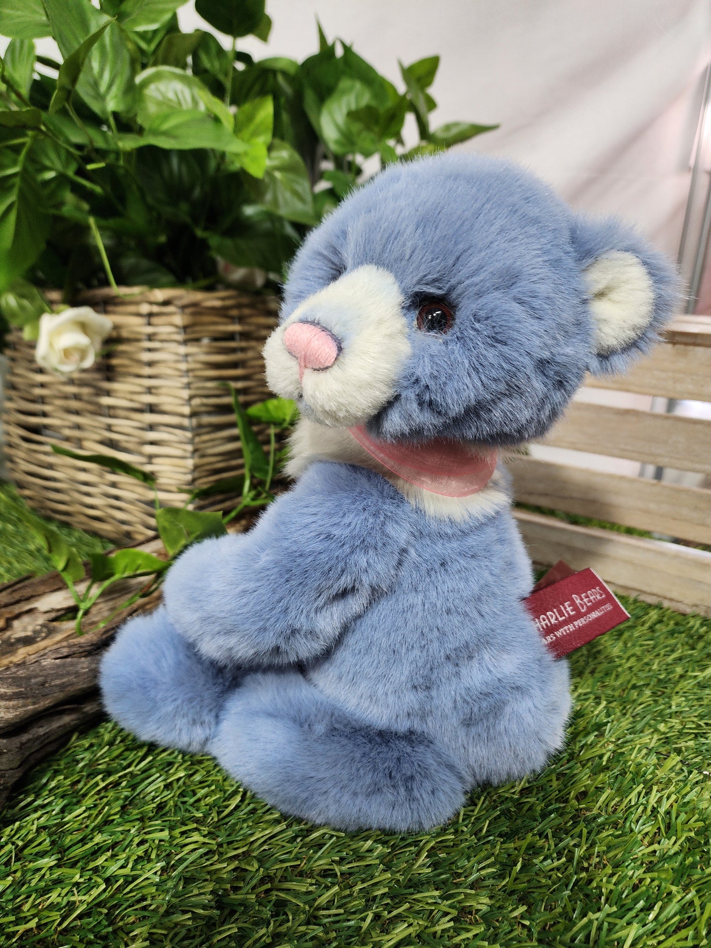 CHARLIE BEAR WHIST