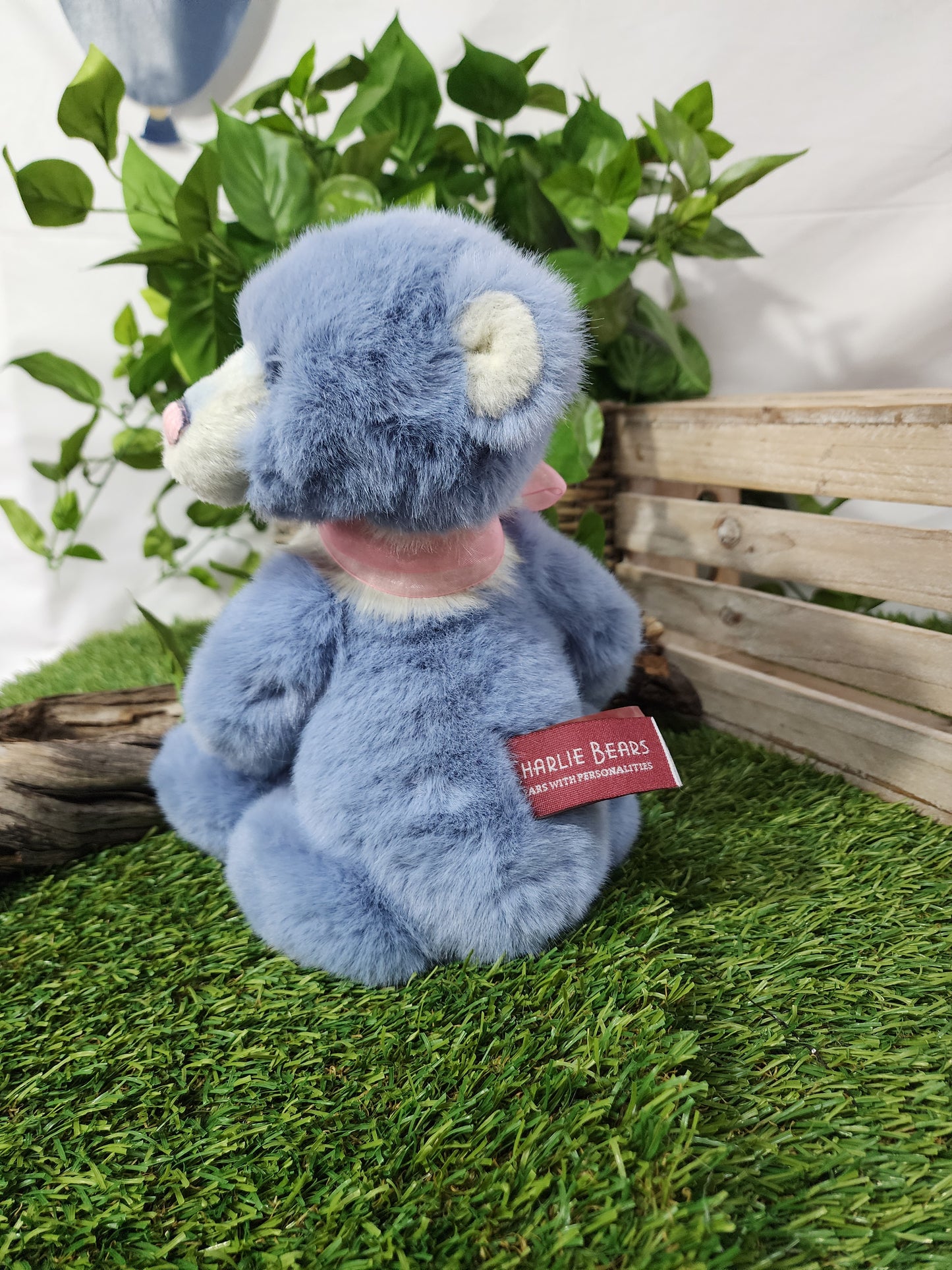 CHARLIE BEAR WHIST