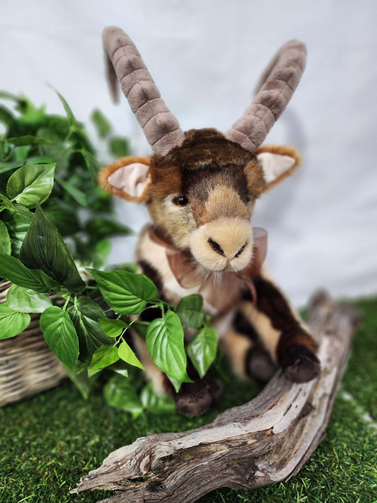 CHARLIE BEAR RAMBLE