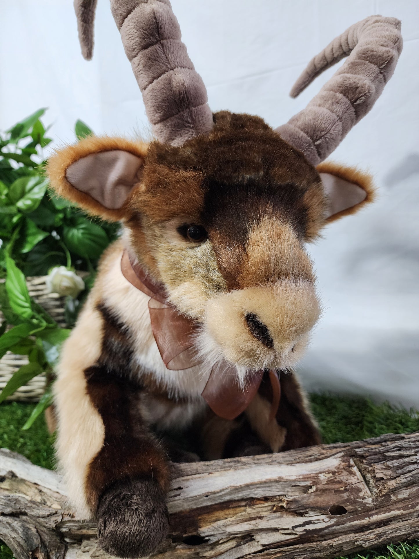 CHARLIE BEAR RAMBLE