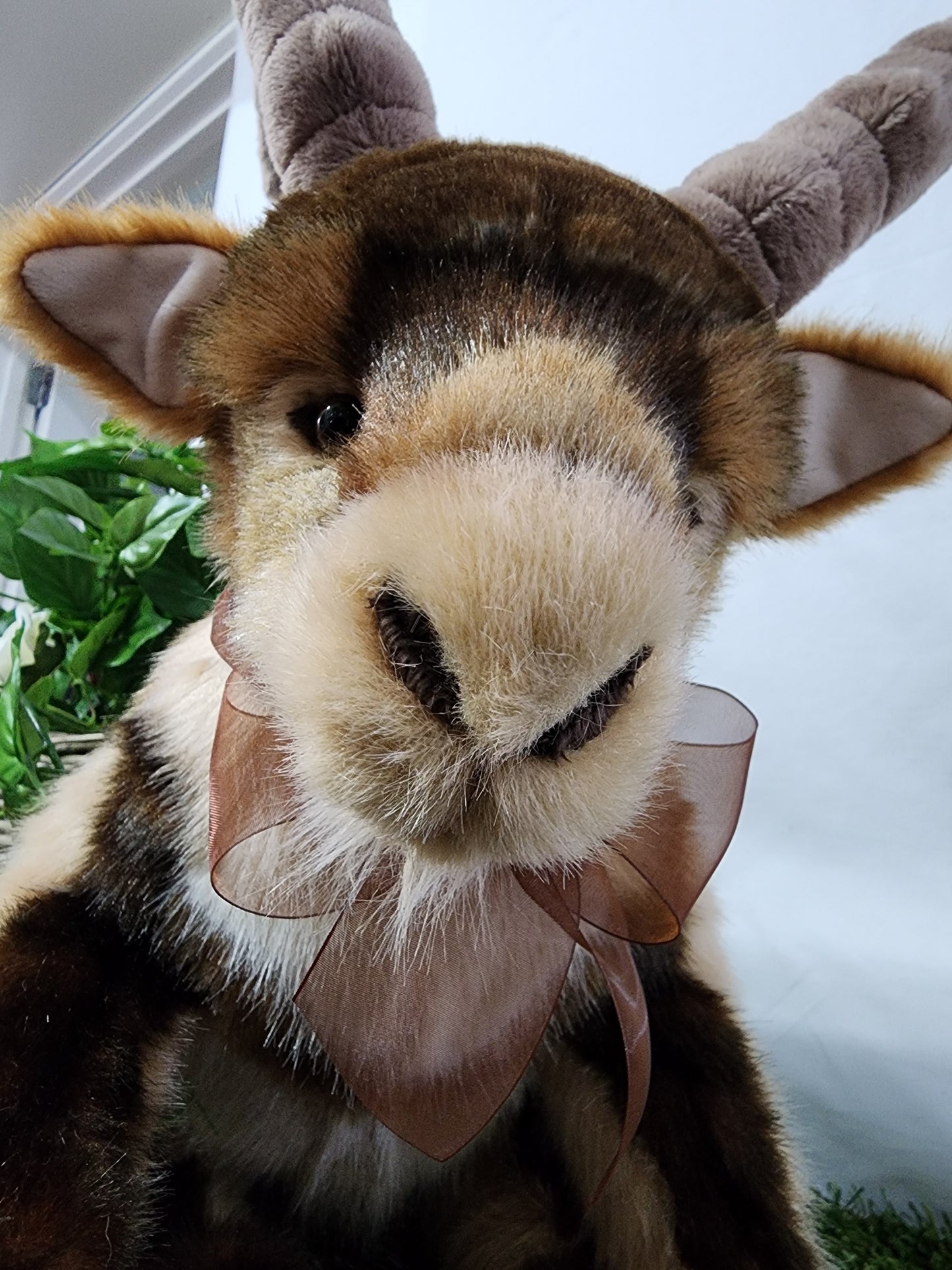 CHARLIE BEAR RAMBLE