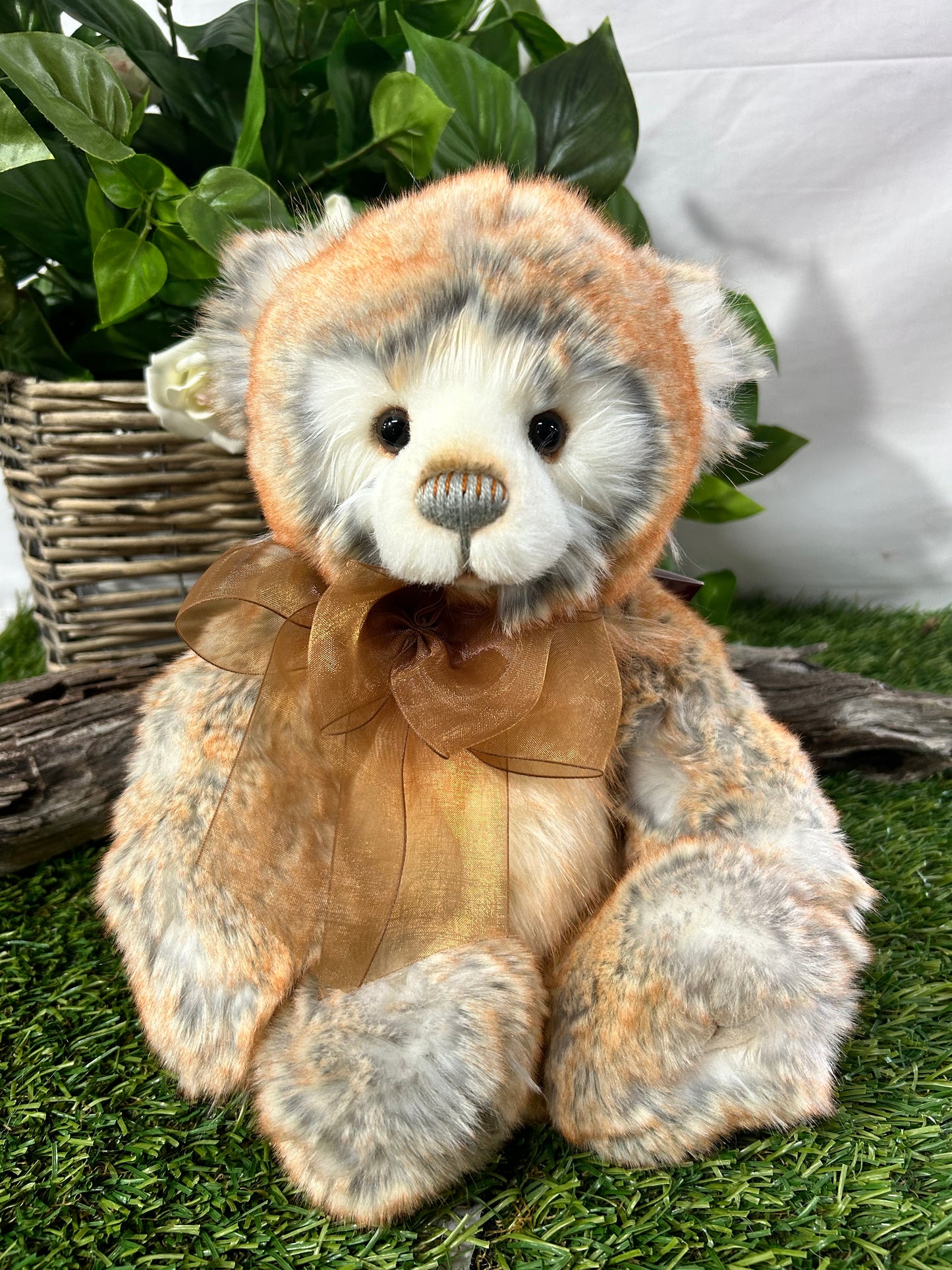CHARLIE BEAR RHYS