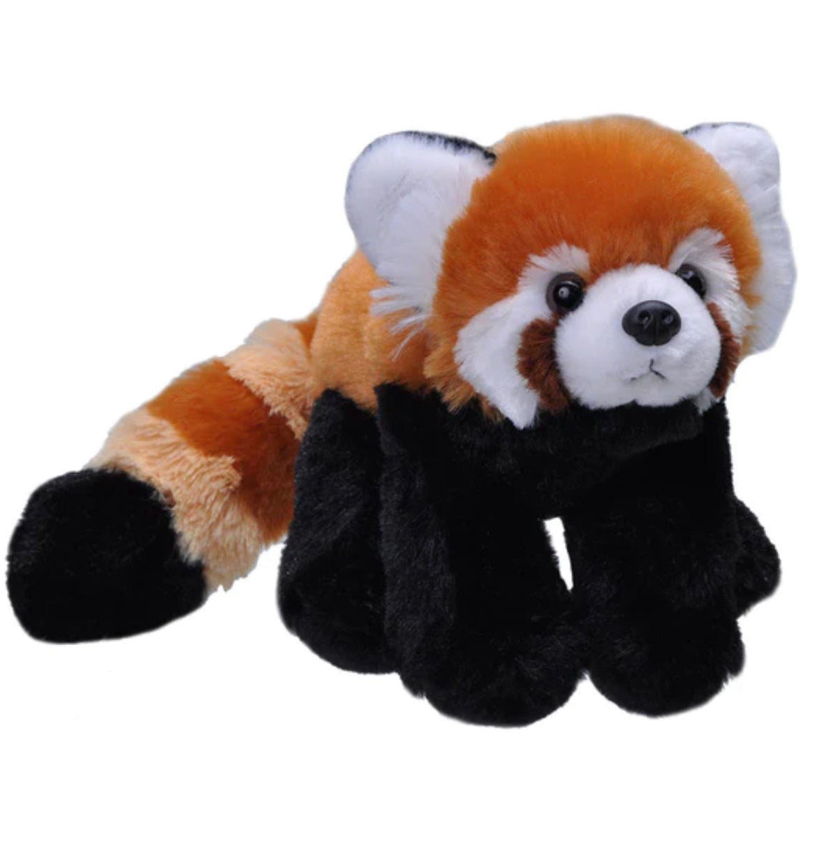 WILD PLUSH RED PANDA