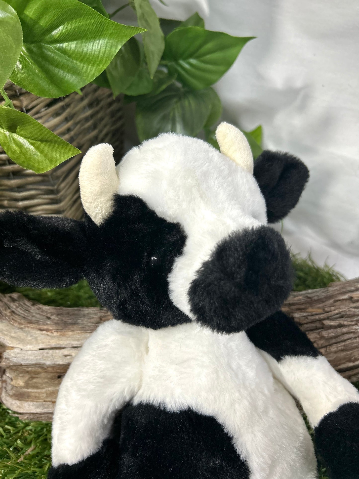 CB BEAR & ME BUTTERCUP BLK & WHT COW M