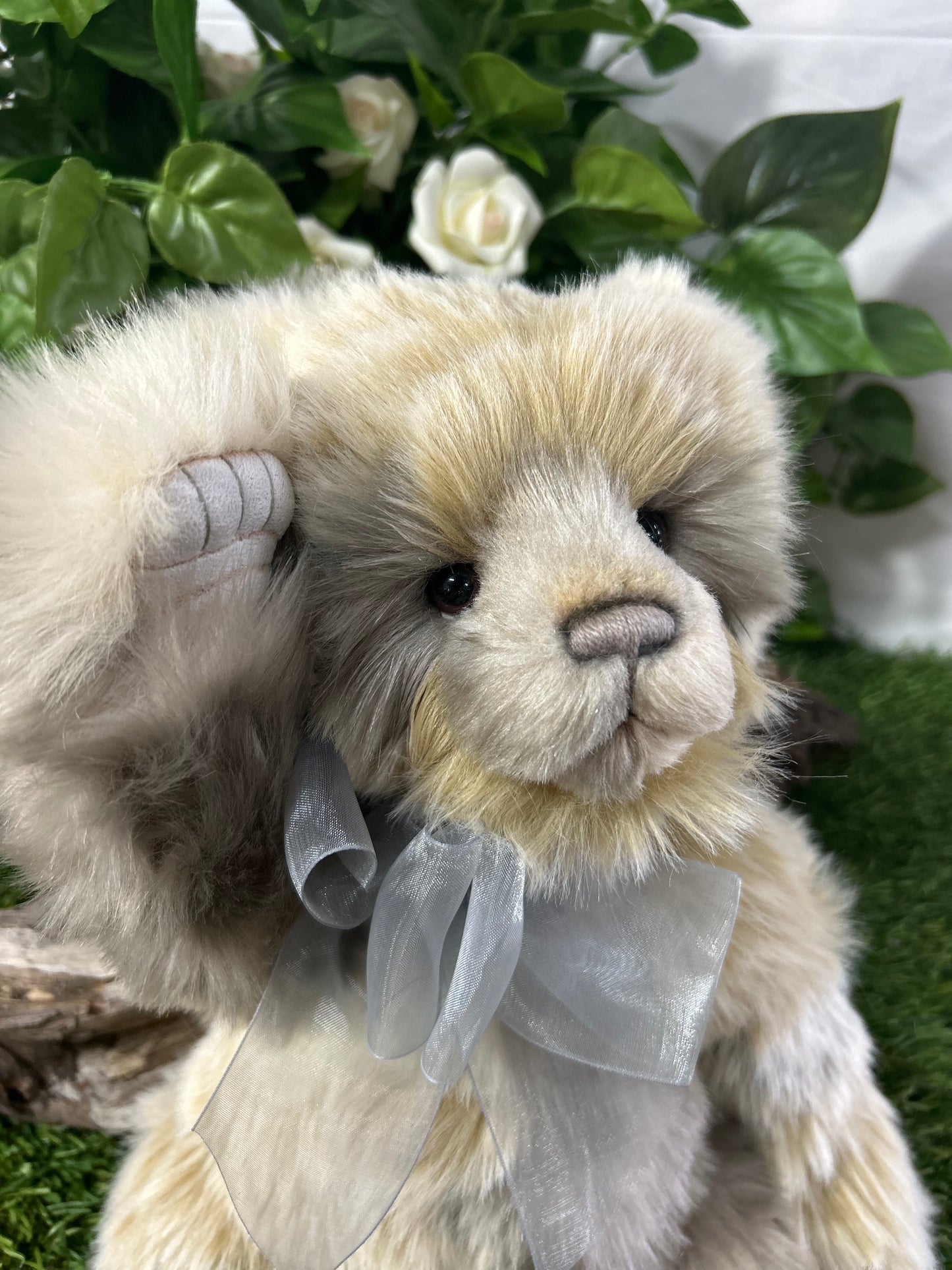 CHARLIE BEAR EDYTA