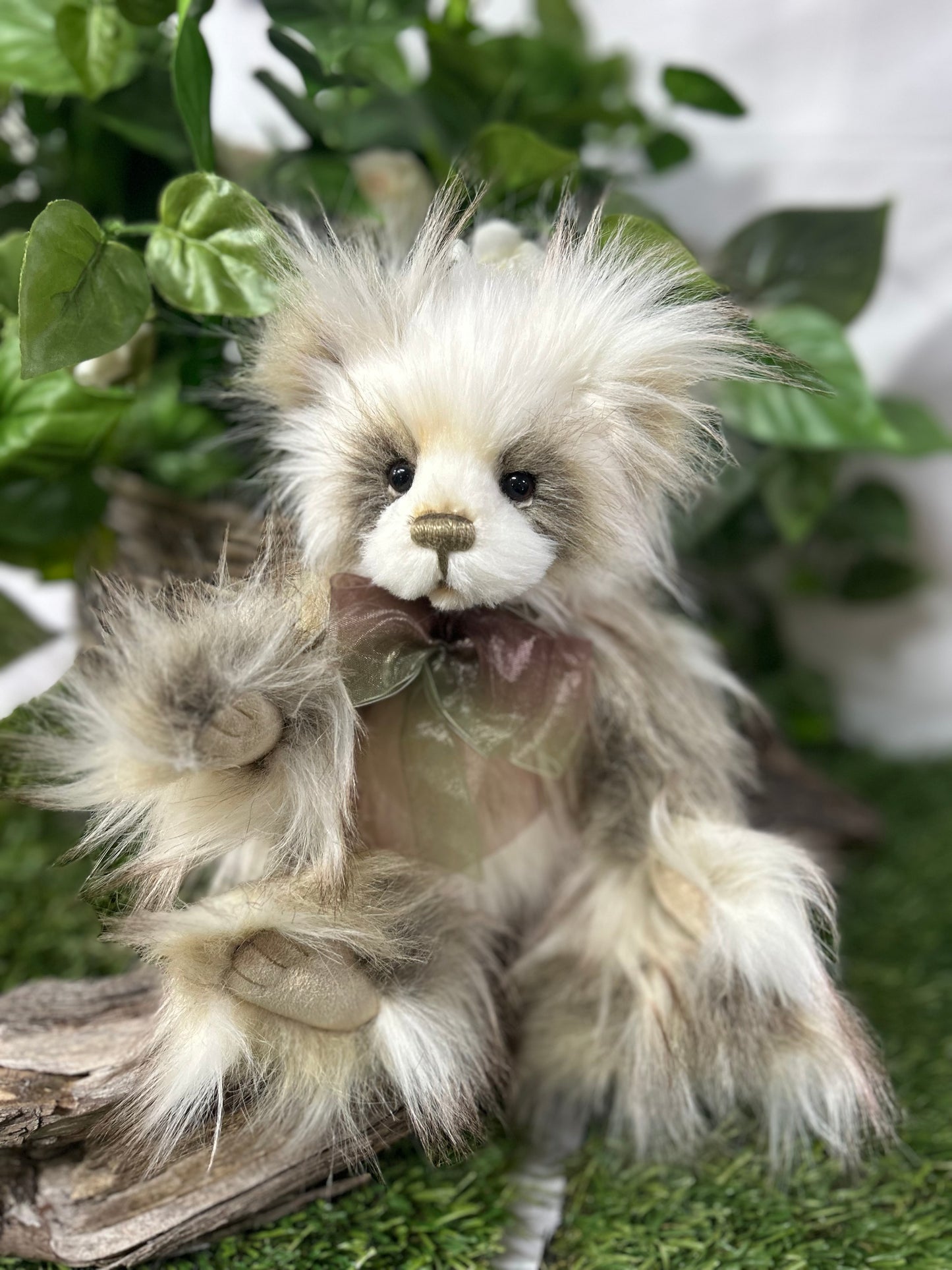 CHARLIE BEAR SIAN