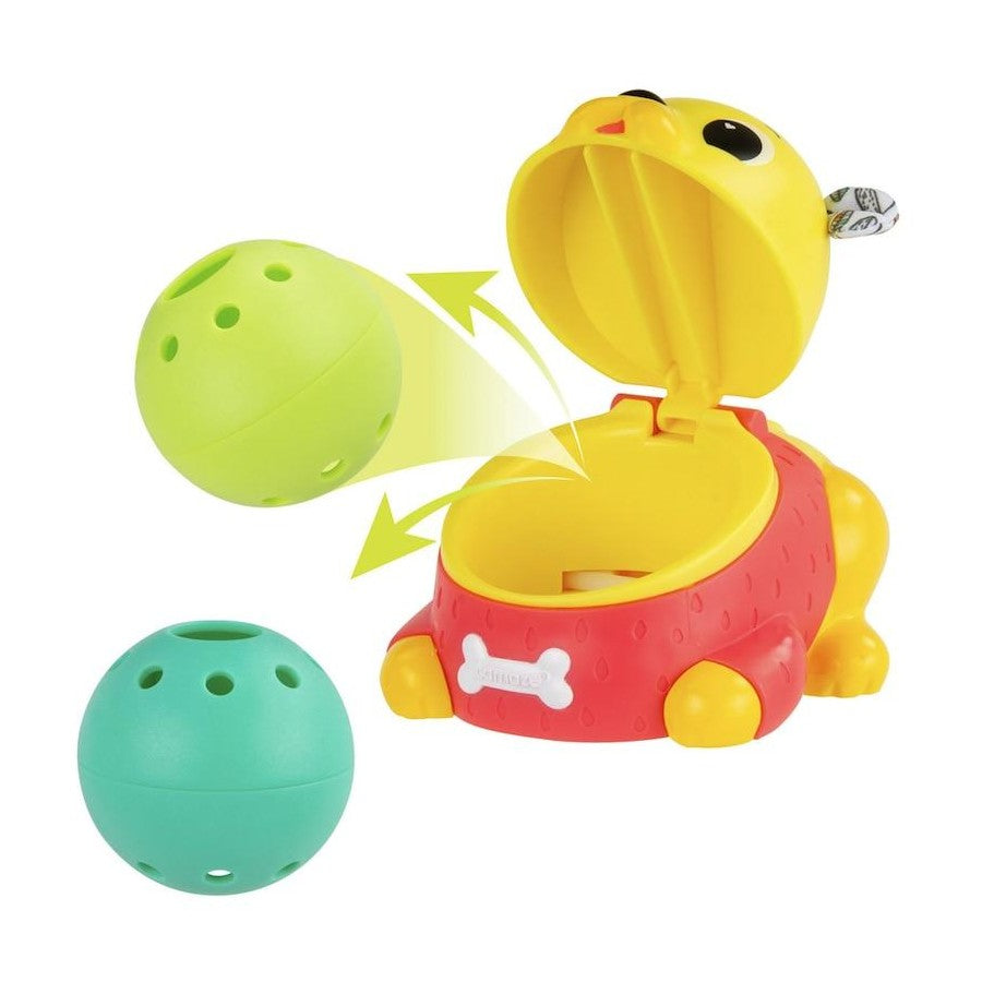 LAMAZE CRAWL & CHASE PUG POPPER