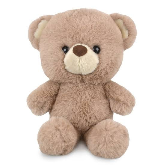 Bear Huddy 27Cm