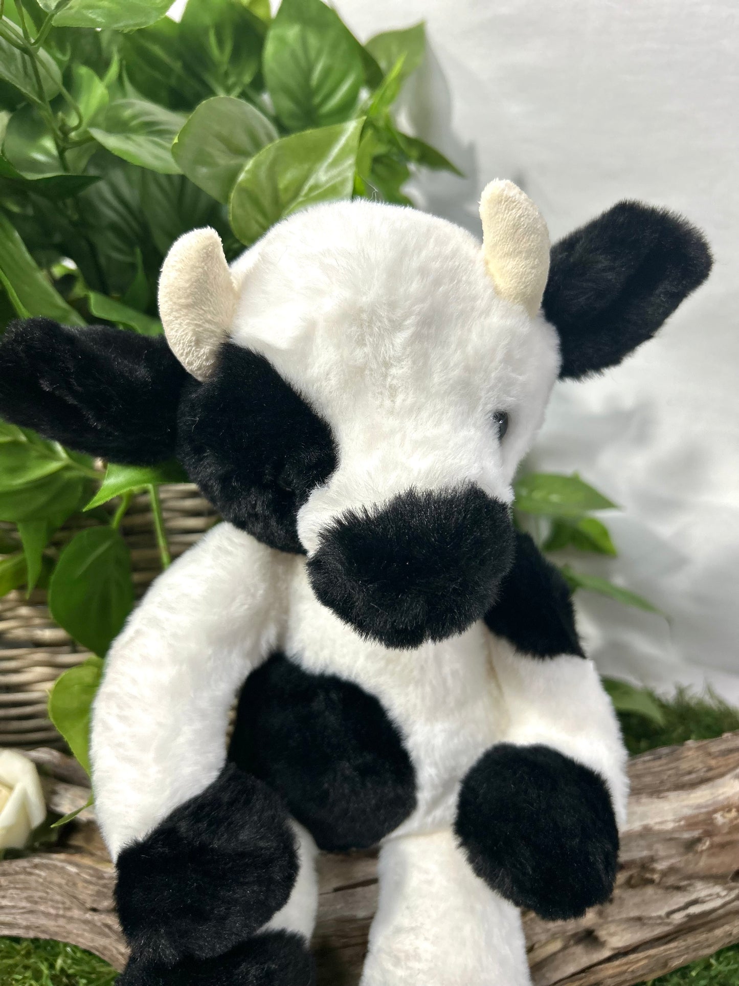CB BEAR & ME BUTTERCUP BLK & WHT COW M