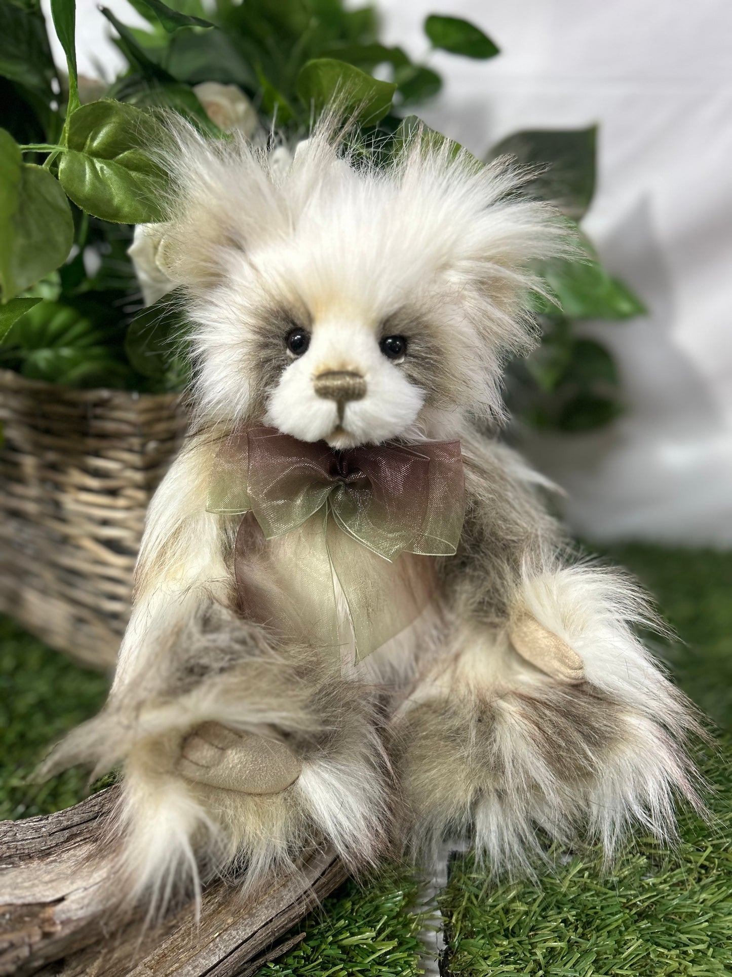 CHARLIE BEAR SIAN
