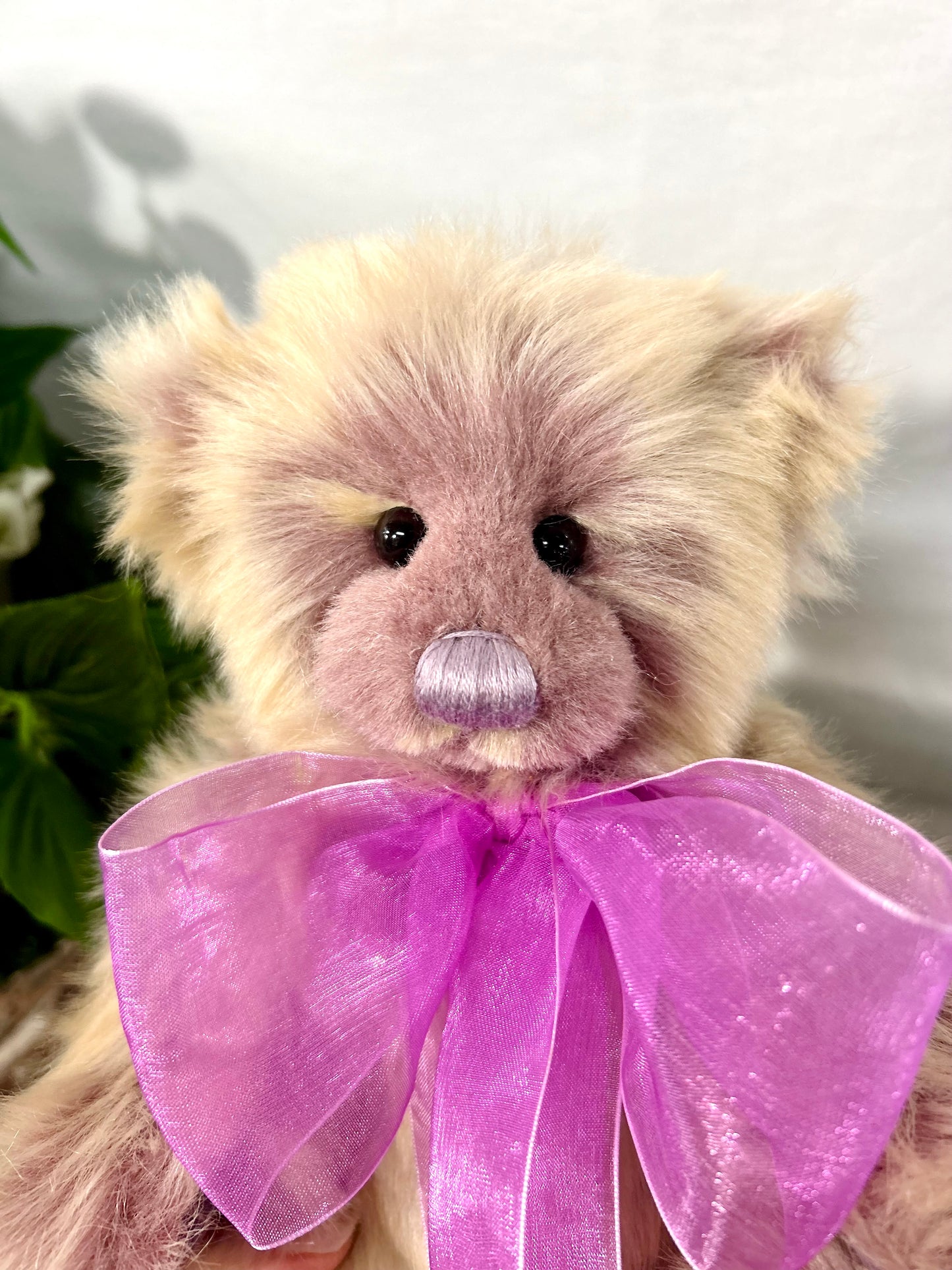 2025 CHARLIE BEARS THURSDAY