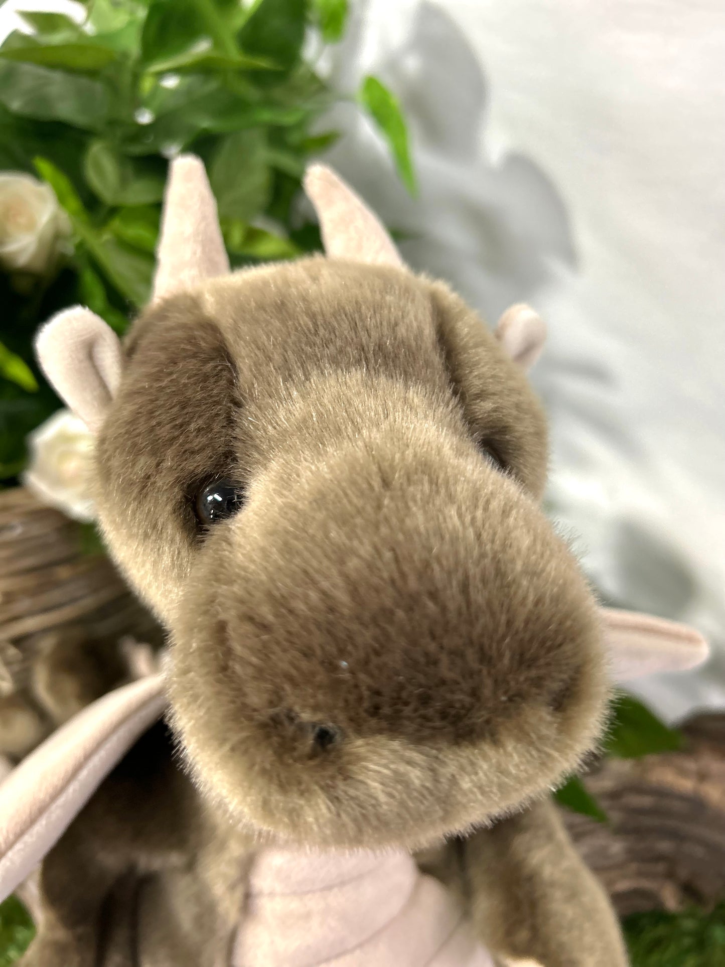 CHARLIE BEAR BEARHOUSE CLUBS