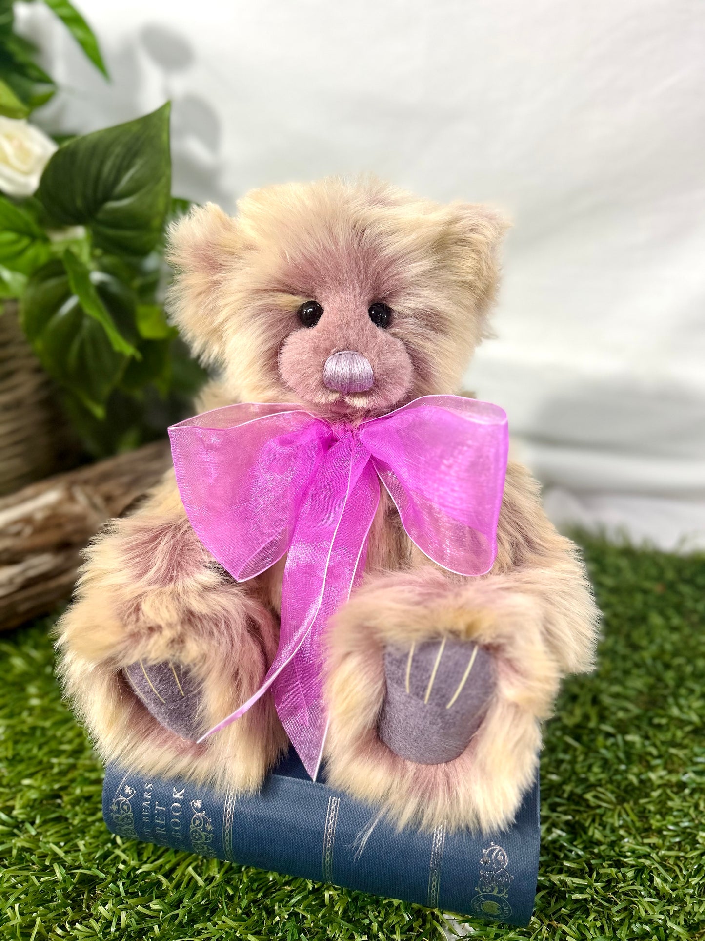 2025 CHARLIE BEARS THURSDAY