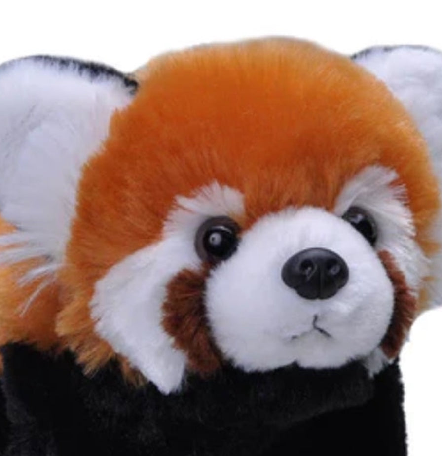 WILD PLUSH RED PANDA