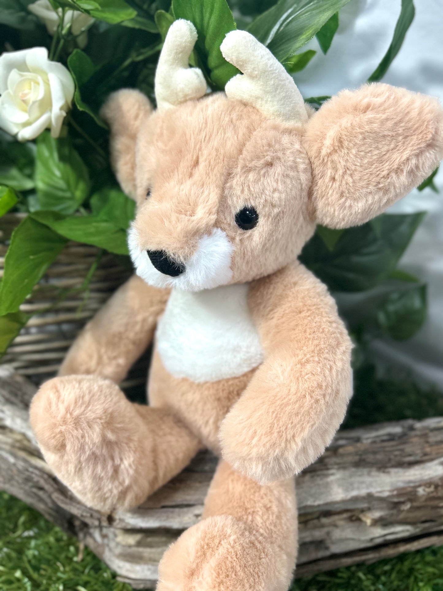 CB BEAR & ME FAWN DEER COOKIE DOUGH BROW