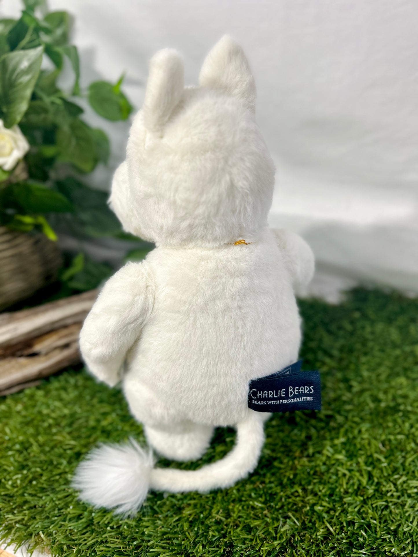 2025 CHARLIE SIGNATURE BEAR MOOMINTROLL