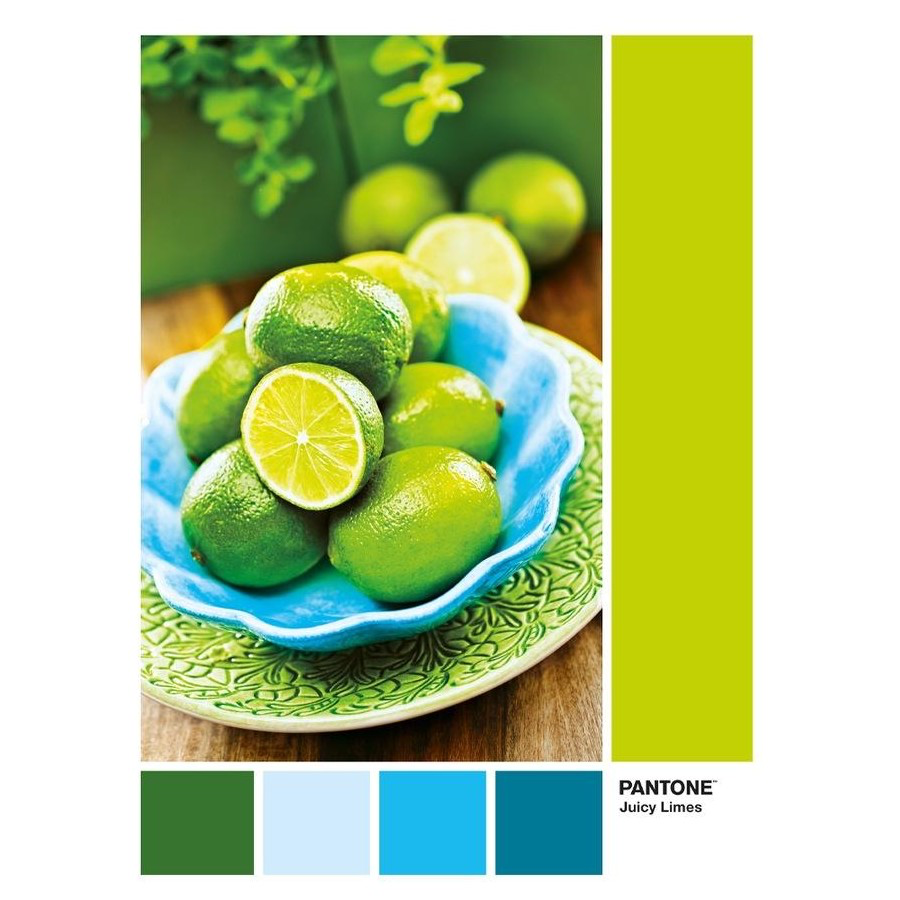 PUZZLE 1000PC JUICY LIMES