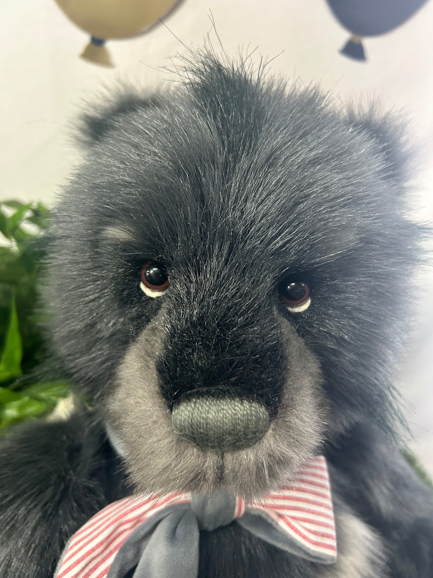 CHARLIE BEAR ADVENTURER