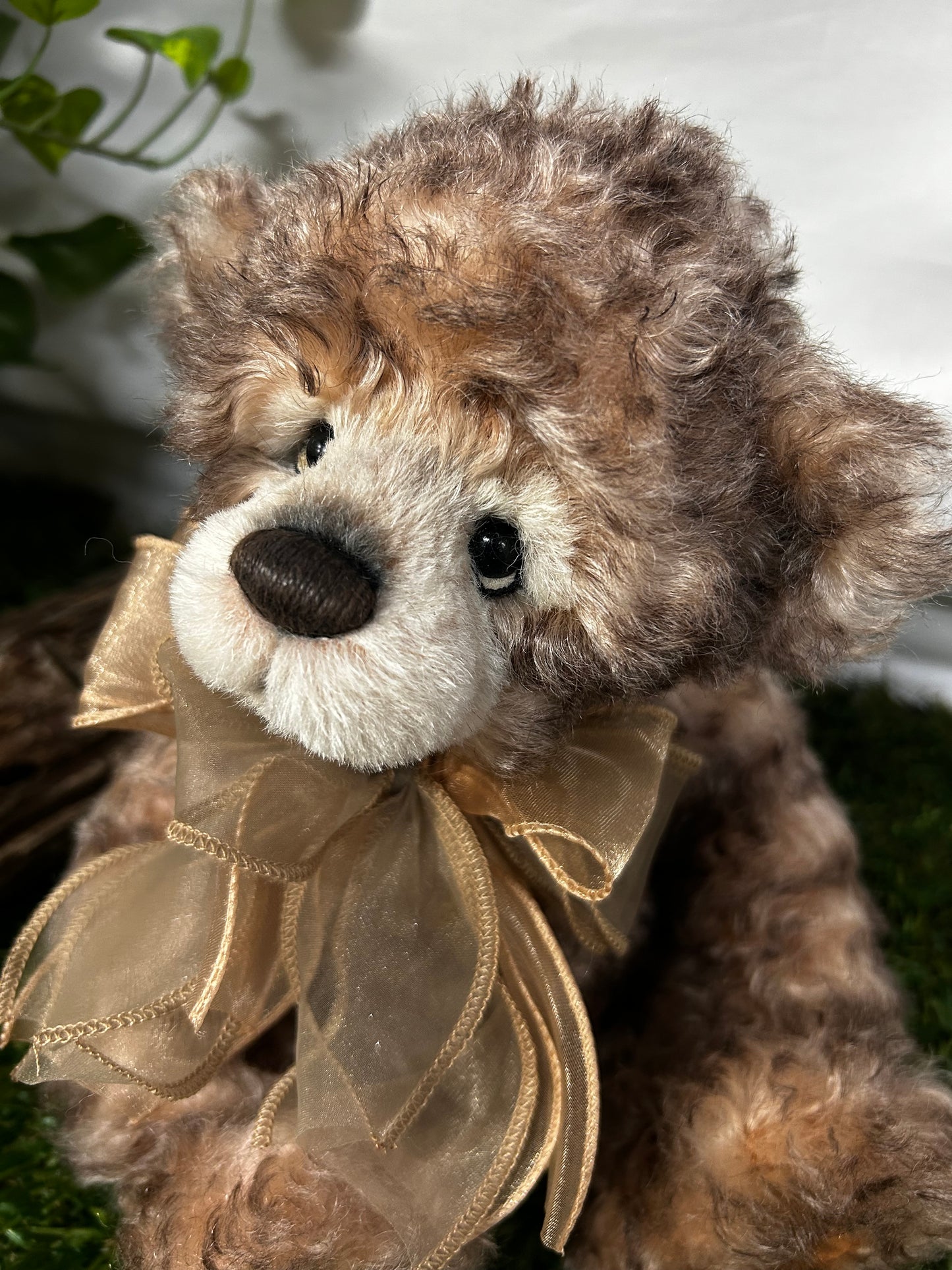 ISABELLE COLLECTION CAMELOT