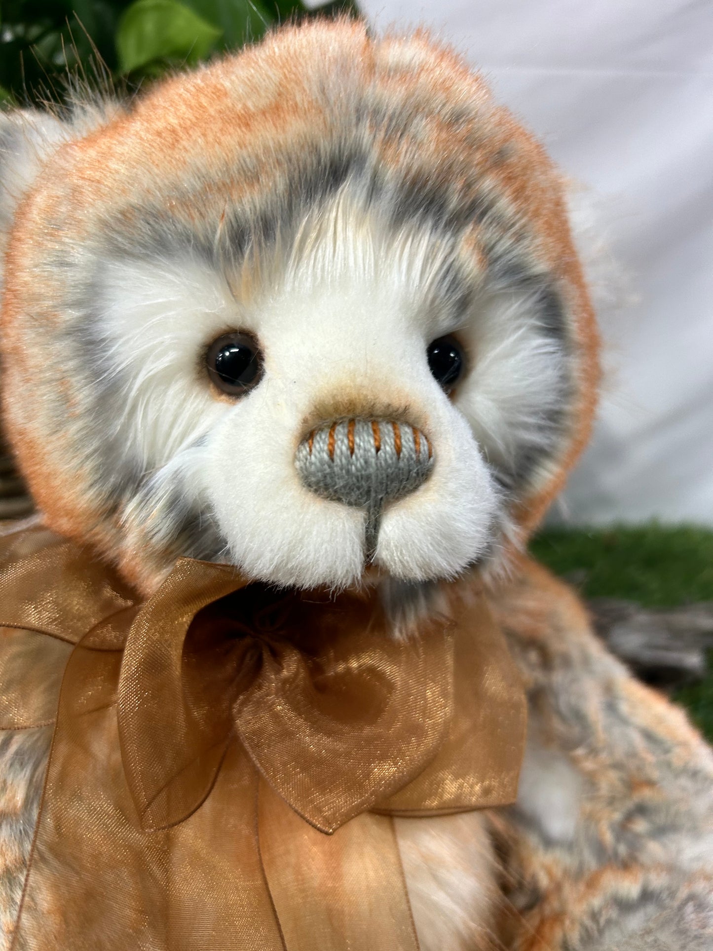 CHARLIE BEAR RHYS