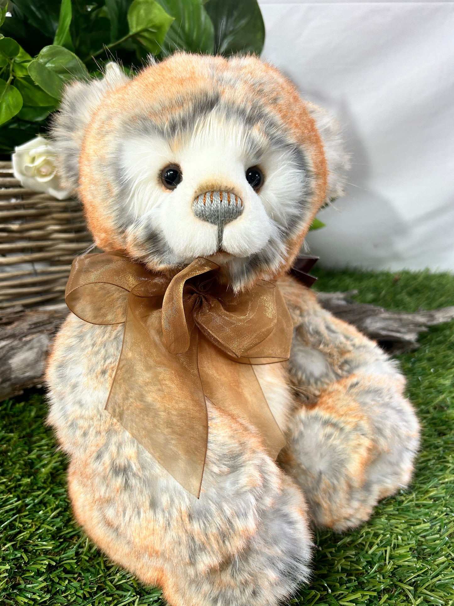 CHARLIE BEAR RHYS