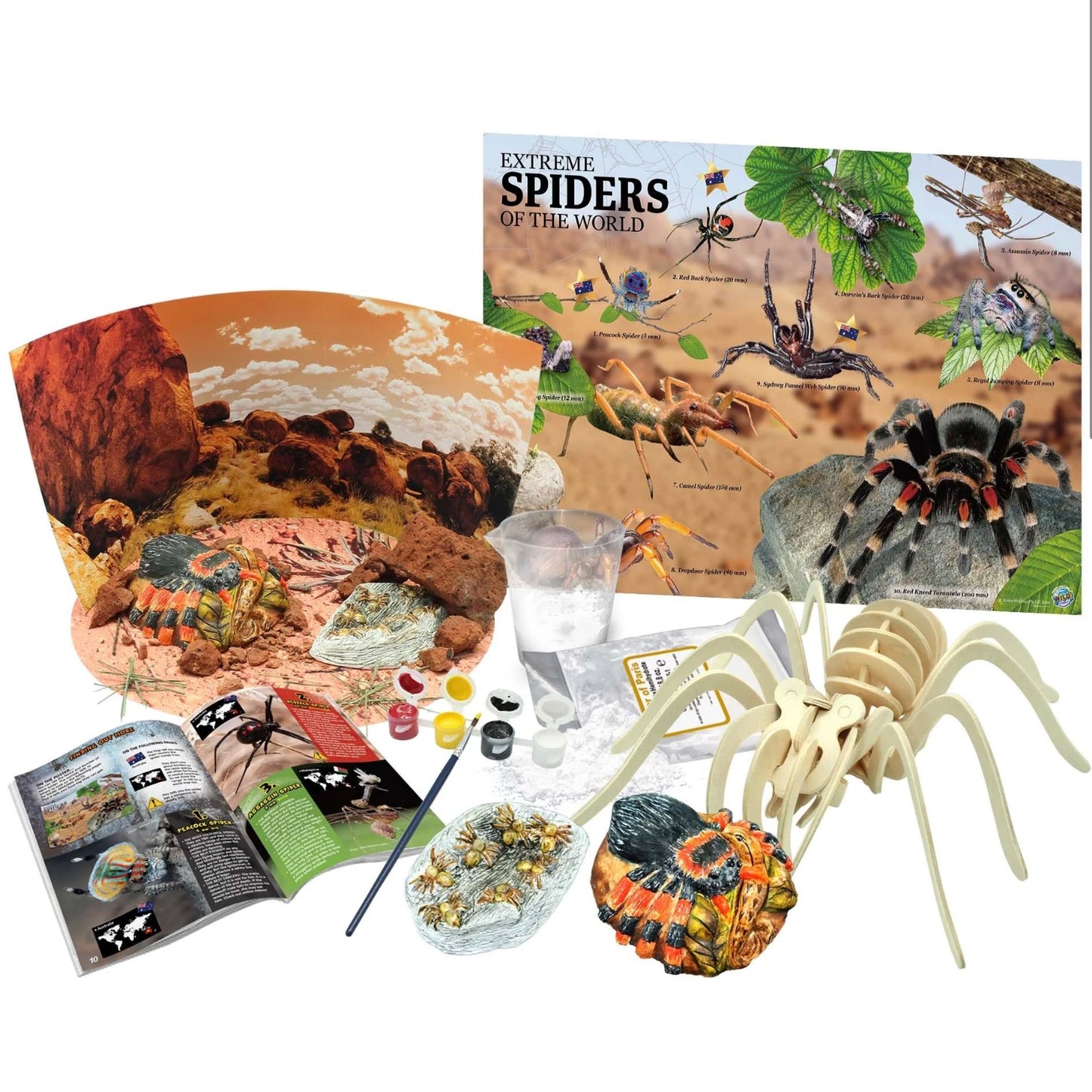 AUS GEO SPIDERS