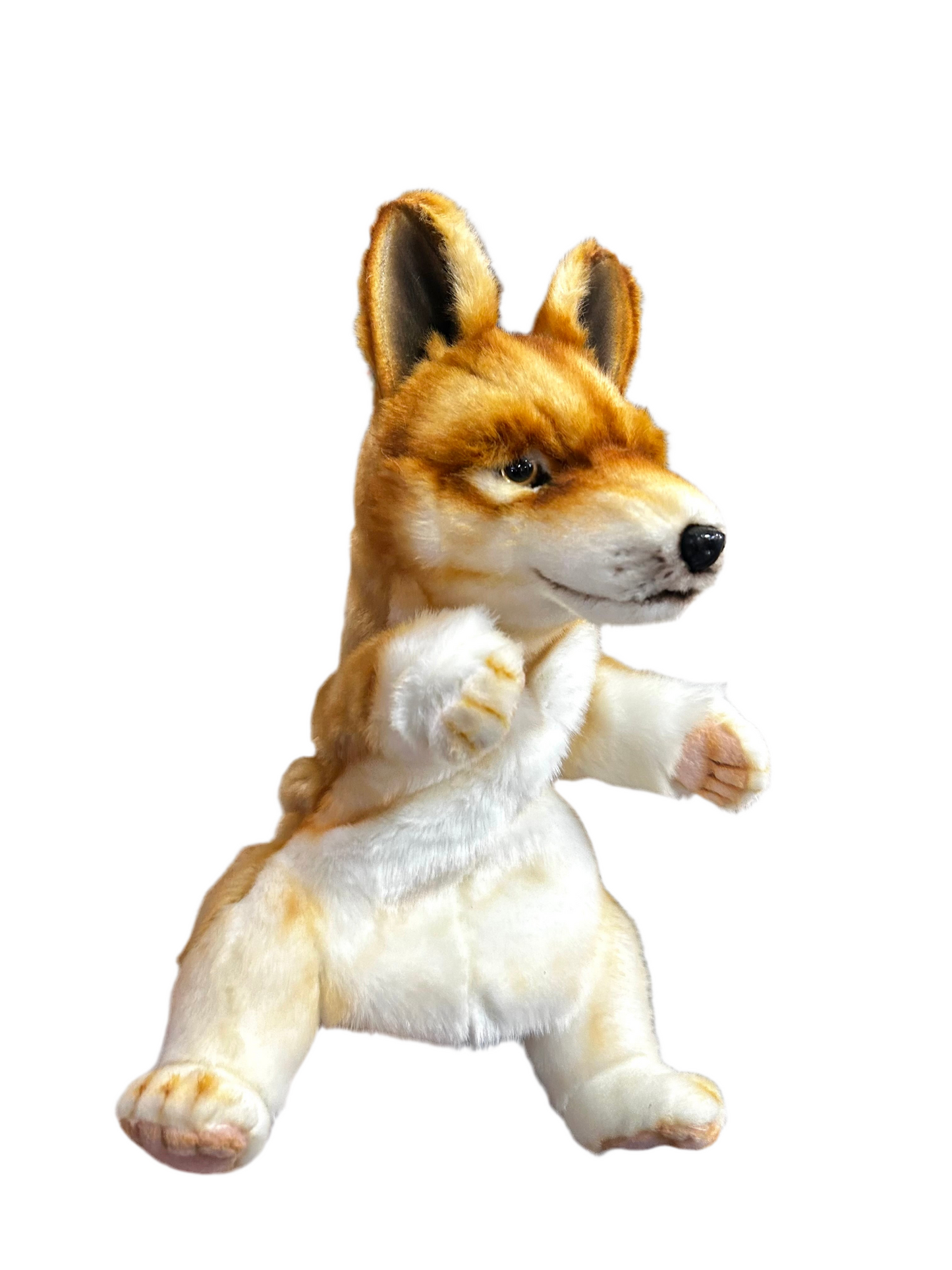 HANSA PUPPET DINGO