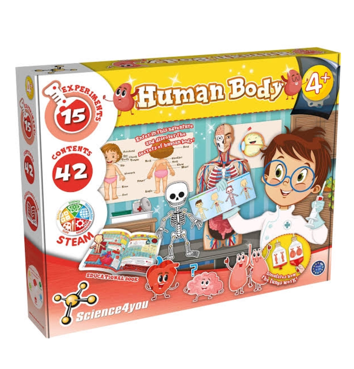 SCIENCE 4 YOU HUMAN BODY