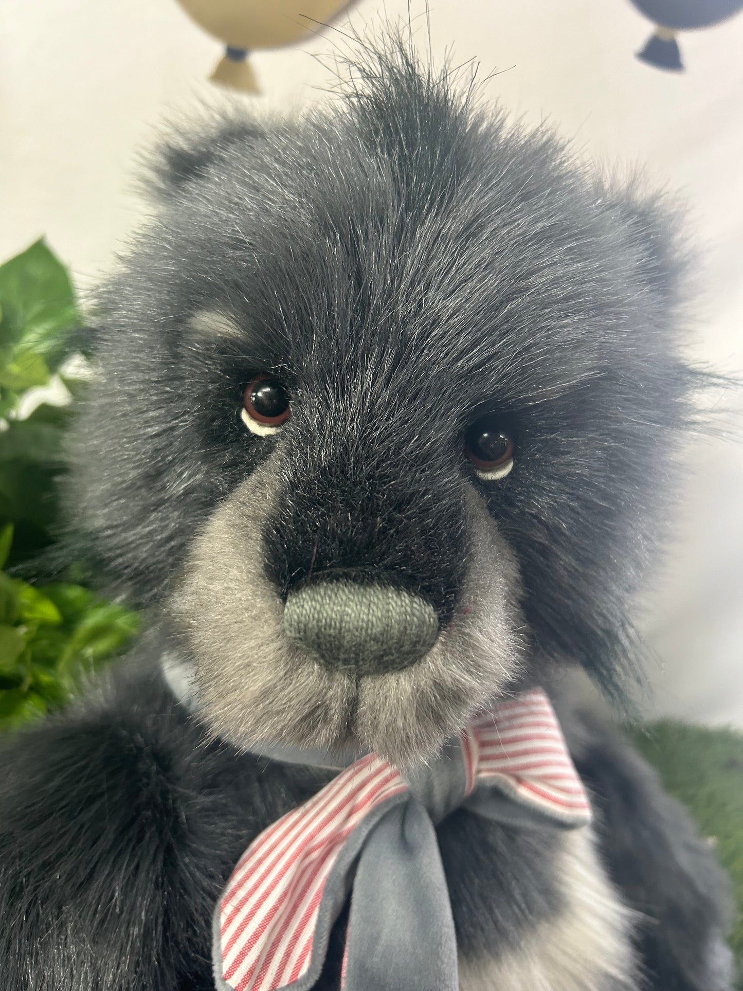 CHARLIE BEAR ADVENTURER