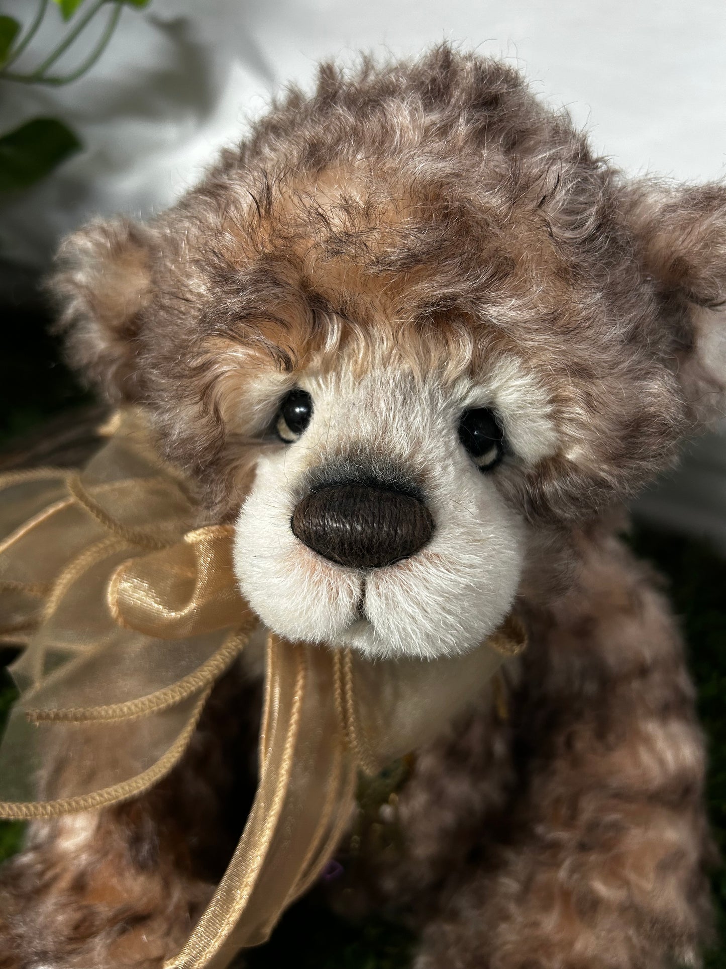 ISABELLE COLLECTION CAMELOT