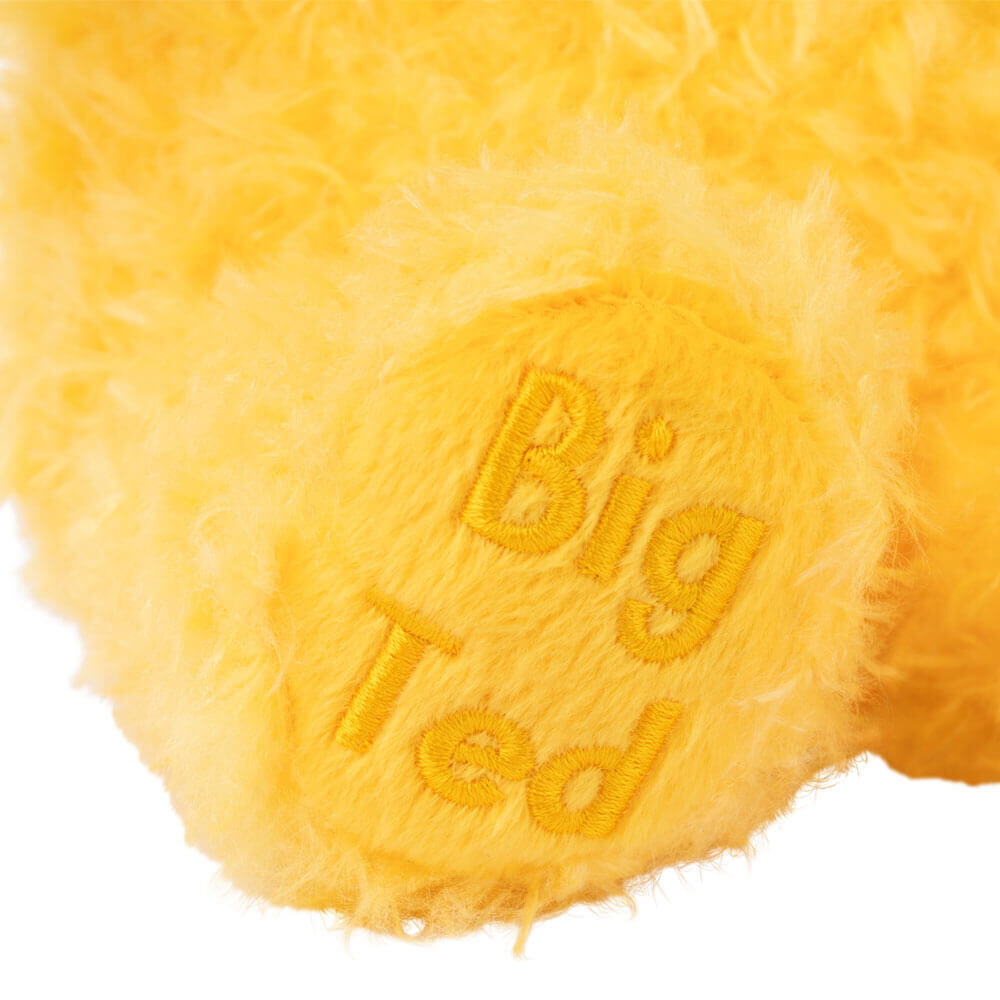 PLAY SCHOOL PLUSH BIG TED 23CM