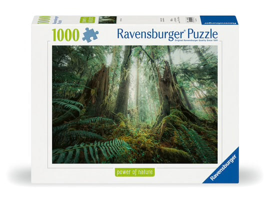 PUZZE 1000PC IN THE FOREST