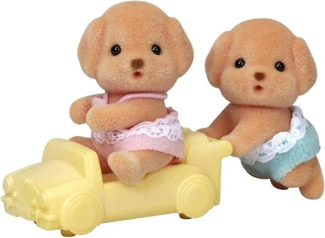 SYL/F TOY POODLE TWINS V2