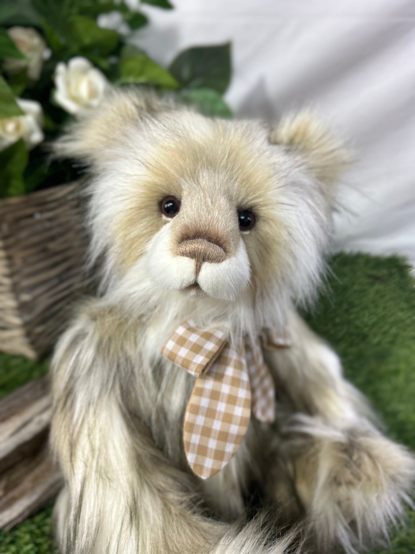 CHARLIE BEAR ASHDOWN