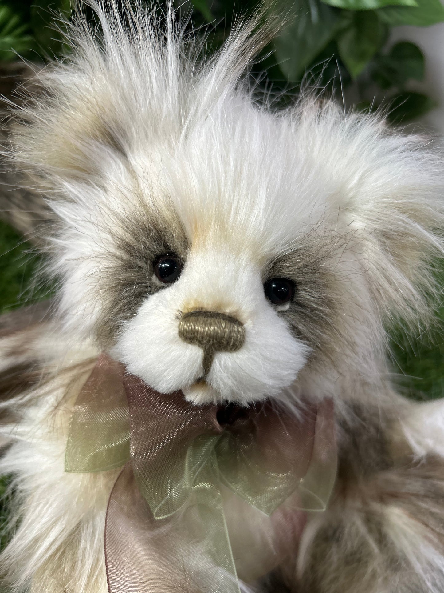 CHARLIE BEAR SIAN