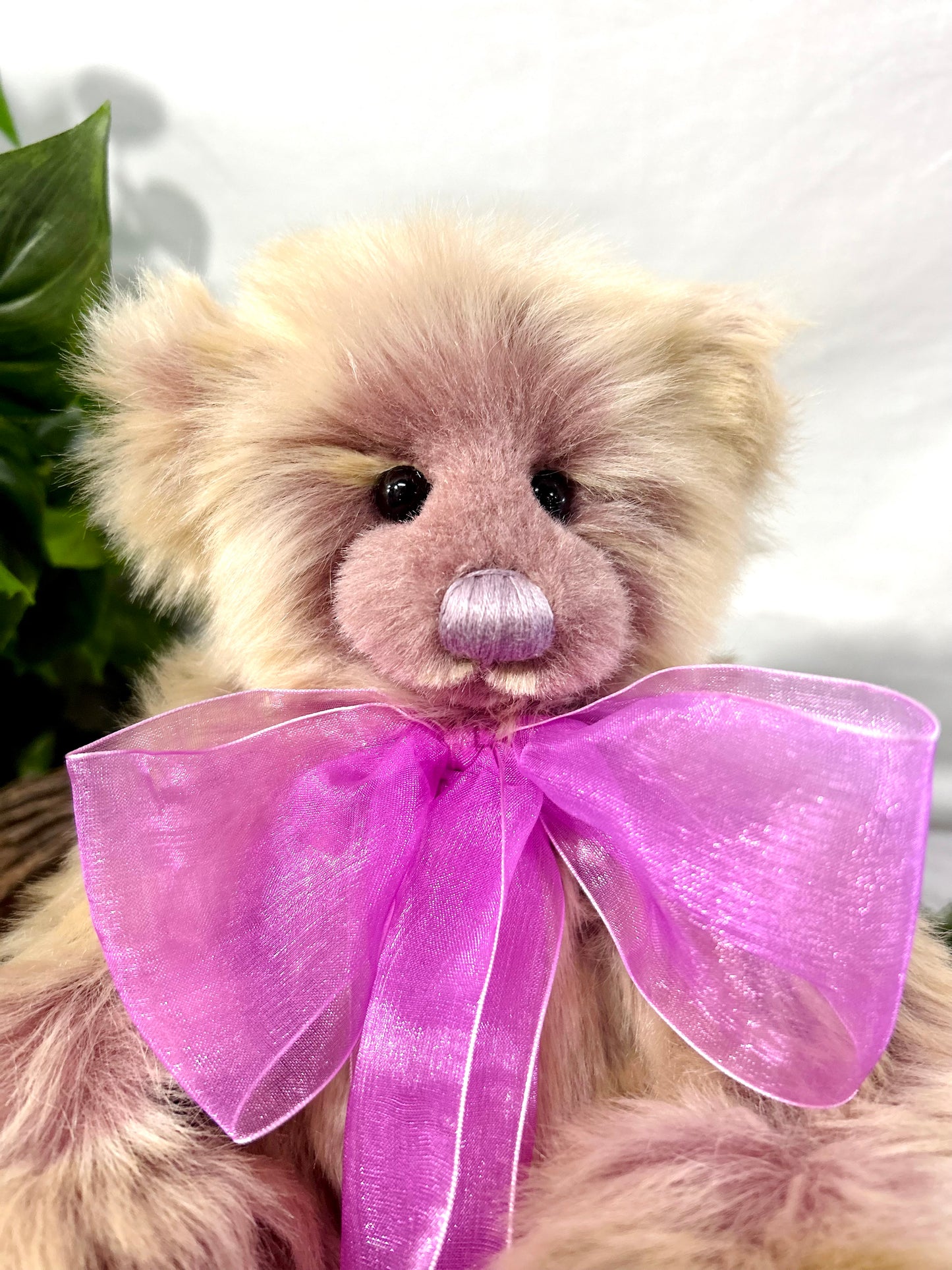2025 CHARLIE BEARS THURSDAY